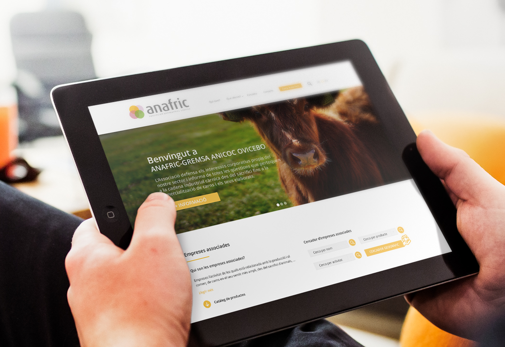 Diseño responsive Anafric - Artimedia