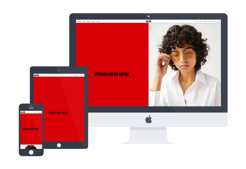 Desarrollo web kaleos - Artimedia